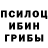 Галлюциногенные грибы мицелий Daire Ferguson