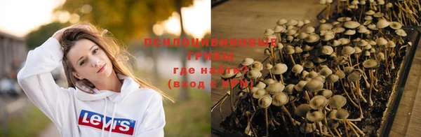 прущая мука Кизел