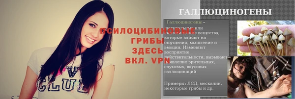 гашик Белоозёрский