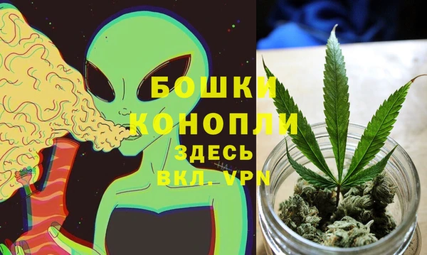 гашик Белоозёрский
