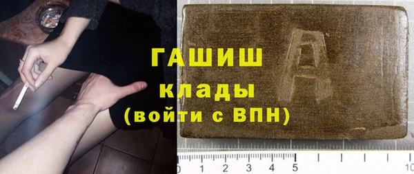 индика Кедровый