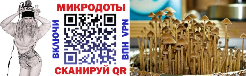 Галлюциногенные грибы Magic Shrooms  Рязань 